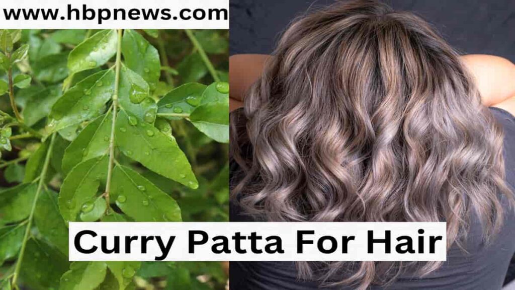 Curry Patta For Hair.